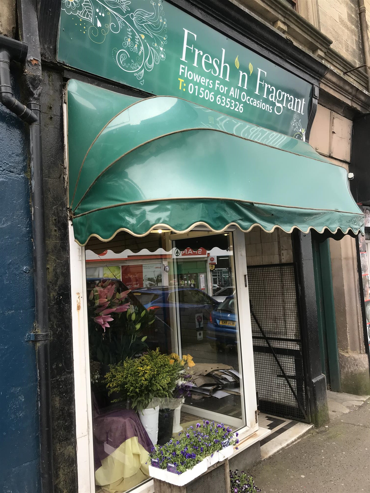 FREEHOLD FLOWERGRAM FLORIST & GIFTS IN BATHGATE TOWN CENTRE