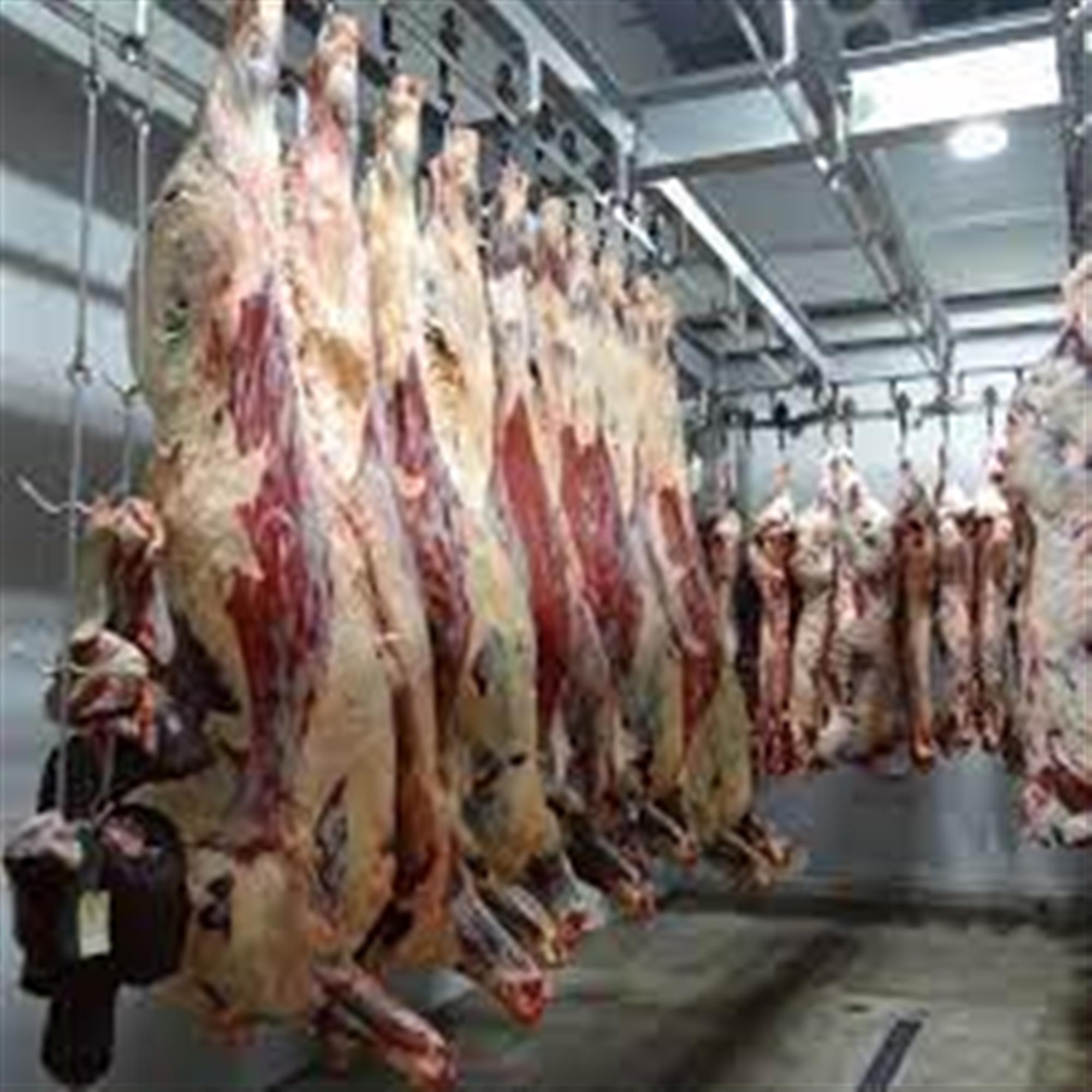 WHOLESALE MEAT DISTRIBUTOR based LONDON